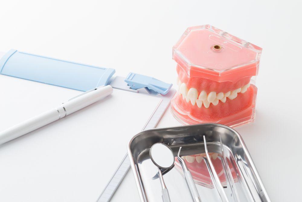 歯の模型と治療器具