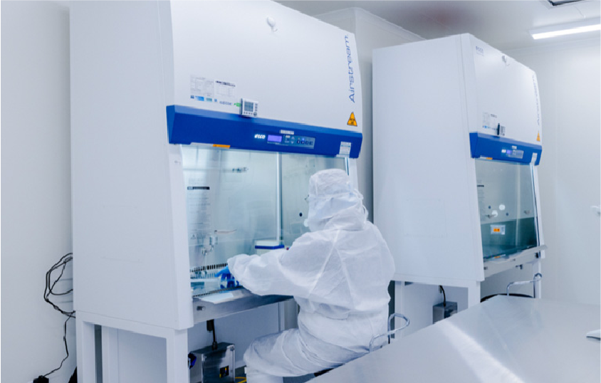 幹細胞の分離・培養中の写真